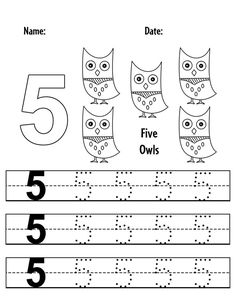 Free Number 5 Tracing Sheet for Preschool! Preschool Number Tracing, Trace The Numbers, Number Tracing Worksheets, Tracing Sheets, Number Tracing, Owl Theme, Numbers Preschool