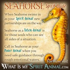 a sea horse poem written in english and spanish