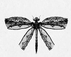 a black and white photo of a dragonfly with wings spread out, sitting on top of