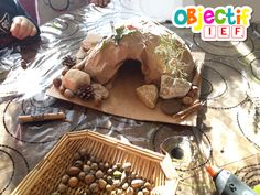 a child is sitting at a table with rocks and plants in front of it,