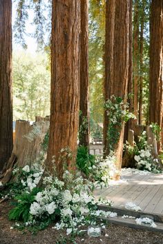 Forest Wedding Ideas: Ferns and White Flowers Ceremony Altar Forest Wedding Decorations, Forest Wedding Ideas, Ceremony Altar, Redwood Wedding, Summer Camp Wedding, Wedding Venues Unique, Enchanting Forest, Stunning Wedding Venues, Bistro Lights