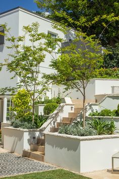 a white house with trees and plants in the front yard