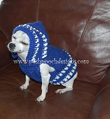 a small dog wearing a blue and white sweater on top of a brown leather couch