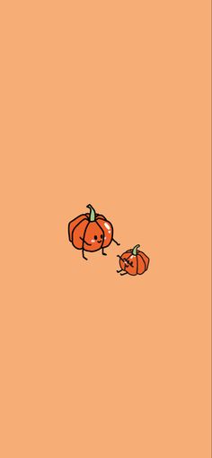 an orange background with two small pumpkins