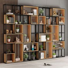 a bookshelf filled with lots of different types of plants on top of wooden shelves