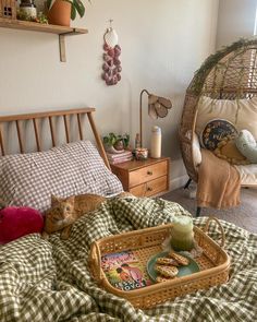 a cat laying on top of a bed next to a tray with cookies in it