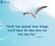 a seagull flying in the sky with a quote from napoleon