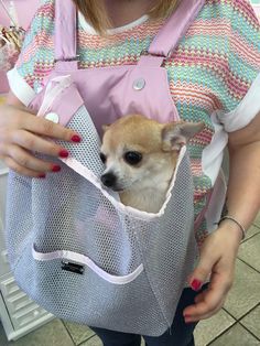 a woman holding a small dog in a mesh bag