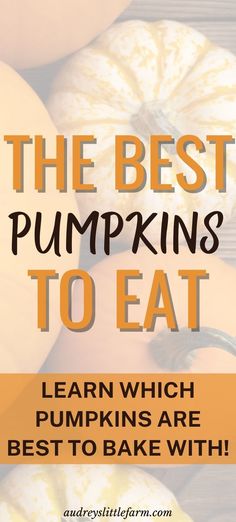 the best pumpkins to eat learn which pumpkins are best to bake with