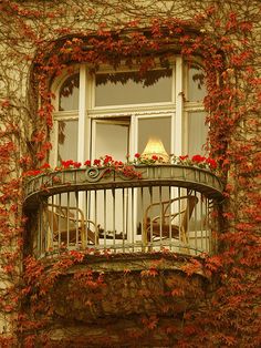 an iron balcony railing with red flowers growing on it and a lamp in the window