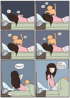 a comic strip with an image of a woman laying in bed next to a cat