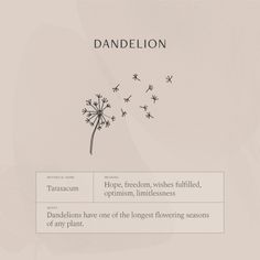 a dandelion is blowing in the wind with words below it that read, dandelion