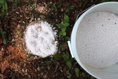 two buckets filled with white powder sitting on the ground next to grass and leaves