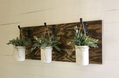 three hanging mason jars with plants in them