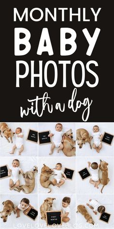 Collage of monthly baby photos with a baby boy and a dog. First Year Baby Pictures, Newborn Photos With Dog, Month Baby Picture Ideas, Baby Growth Pictures, Baby Milestones Monthly Picture Ideas, Baby And Dog