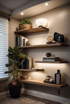 some shelves with plants and books on them next to a potted plant in front of a window