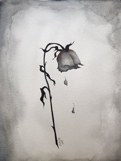 a drawing of a flower on a white paper with watercolor paint and black ink