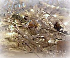 an image of some plants that are covered in ice