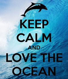 a poster with the words keep calm and love the ocean