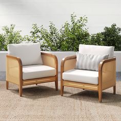 two chairs sitting next to each other on top of a carpeted floor with plants in the background