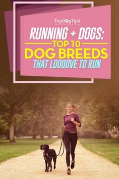 a woman jogging with her dog on a leash and the words running dogs top 10 breeds that looove to run