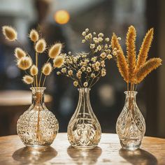 three glass vases with dried flowers in them