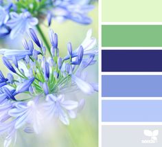 blue and green color scheme with flowers