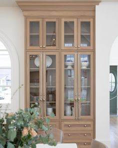 a large wooden cabinet with glass doors next to a potted plant in front of it