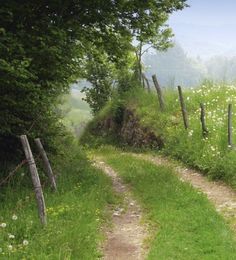 a dirt path in the middle of a lush green field