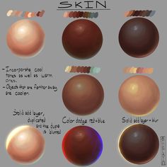 the different types of skin are shown in this graphic style, including brown and red