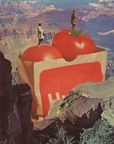 a man standing on top of two giant tomatoes in front of the grand canyon, surrounded by mountains