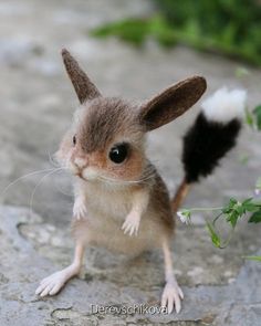 a tiny mouse sitting on top of a rock next to a plant with white flowers