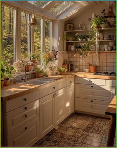 an image of a kitchen setting with sun shining through the window and plants on the counter