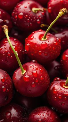 many cherries with water droplets on them