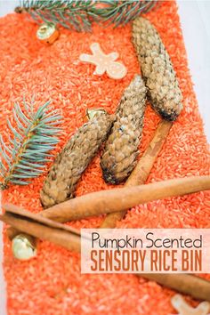 an orange rug with pine cones and cinnamon sticks on it that says pumpkin scented sensory rice bin