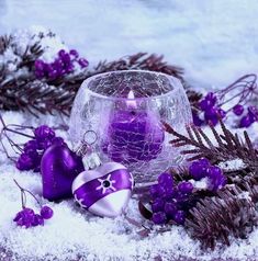 a purple candle surrounded by christmas decorations and pine cones on snow covered ground with evergreen branches