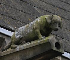 a statue of a dog sitting on top of a roof next to a gutter