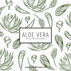 aloe vera background with leaves and flowers