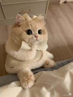 an orange and white cat wearing a bow tie sitting on top of a bed next to a dresser