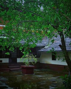 an outdoor courtyard with benches and trees in the rain