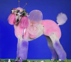 a poodle with pink and white hair wearing a flower crown on it's head