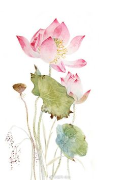 watercolor painting of pink flowers and leaves