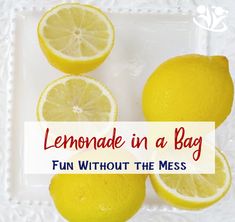 lemons on a plate with the words lemonade in a bag fun without the mess