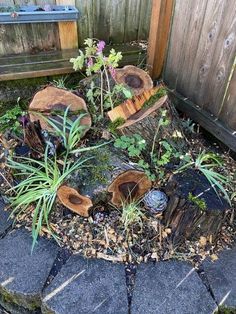 an outdoor area with rocks, plants and wood logs in it's centerpiece