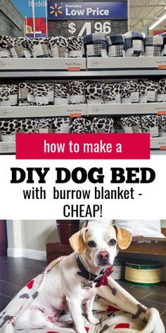 a dog laying on top of a bed in a store with the words how to make a diy dog bed with burrow blanket cheap