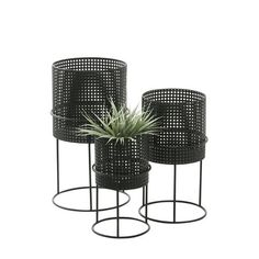 three black metal planters with plants in them