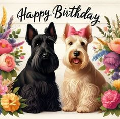 two dogs sitting next to each other with flowers around them and the words happy birthday