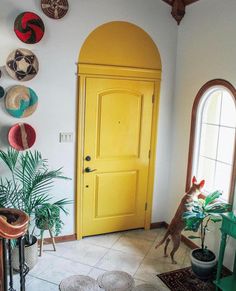 a yellow door in a white room with potted plants and rugs on the floor