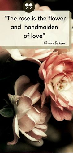 the rose is the flower and the handmaiden of love - charles dickens