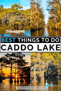 the best things to do in caddo lake